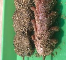 Fried Eggplant Cutlet