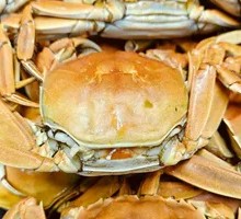 Live Shrimp and Crab Combo