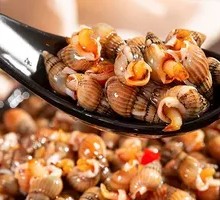 Spicy Drained Sea Cone