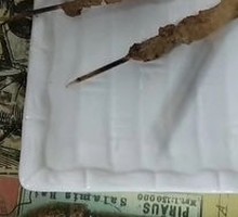 Grilled Chicken Gizzard