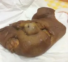 Vacuum-Packed Pig's Trotter