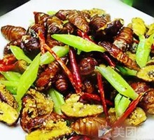 Dry-Fried Cicada Nymphs