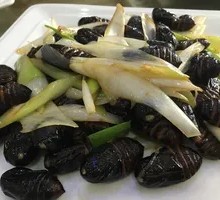 Fried Cicada Nymphs