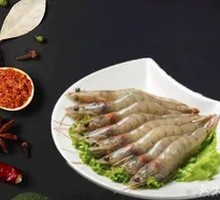 Deep-sea Green Shrimp