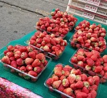 Nine-nine Strawberry