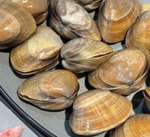 Donggang Yellow Clams