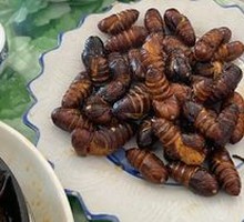Dry-Fried Silkworm Pupae