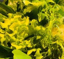 Mixed Vegetables Platter