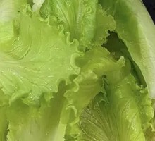 Lettuce