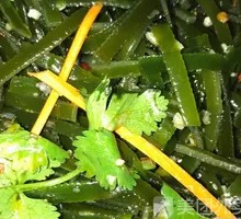 Garlic Seaweed Strips