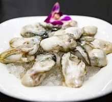 Oyster Meat