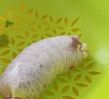 Intestine Rice Sausage