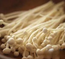 Enoki Mushroom