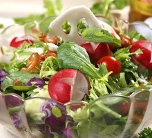 Refreshing Mixed Vegetable Salad