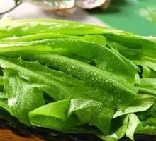 Oilseed lettuce