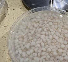 Foxtail Millet Water Rice