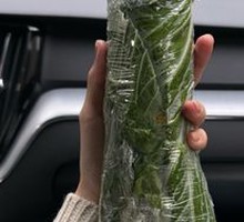 Potato Sauce Rice Wrap