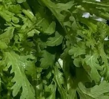 Chinese chrysanthemum greens