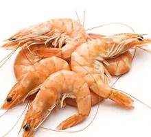 Large Shrimp