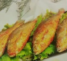 Yellow croaker