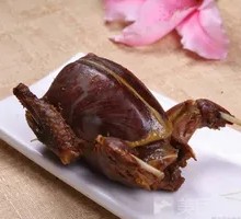 Aluminum-Wrapped Pigeon