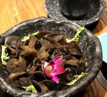 Wood Ear Mushroom