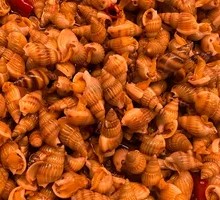 Spicy Small Sea Cone