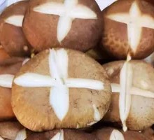 Fried Mushroom Skewers