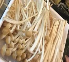 Mushroom Sliding Dish