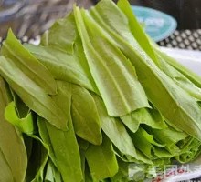 Blanched Oil-maize Lettuce