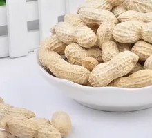 Headliner Peanuts