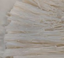 Enoki Mushroom
