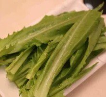 Oilseed lettuce