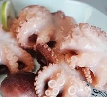 Nine-Second Bite Small Octopus