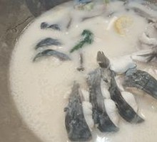 Yangtze River Black Catfish