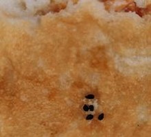 Donkey Meat Fire Cake