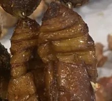 Silkworm pupae
