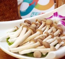 King Oyster Mushroom