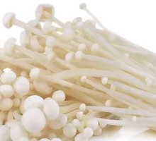 Enoki Mushroom