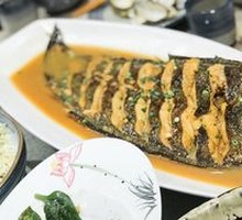 Wild Large-toothed Flatfish