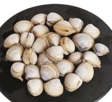 Fresh Purified Clams