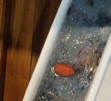 Black Tiger Shrimp Dumplings