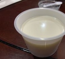 Mongolian Homemade Yogurt