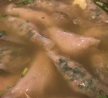 Yellow Croaker Fish燕