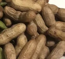 Boiled Peanuts