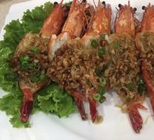 Freshly Caught Large Shrimp