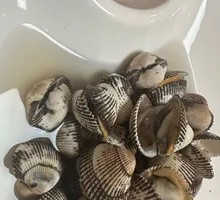 Hongdao Clams