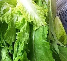 Oilseed lettuce
