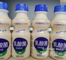 Daliyuan Lactic Acid Bacteria