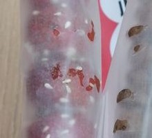 Candied Hawthorn without Pits